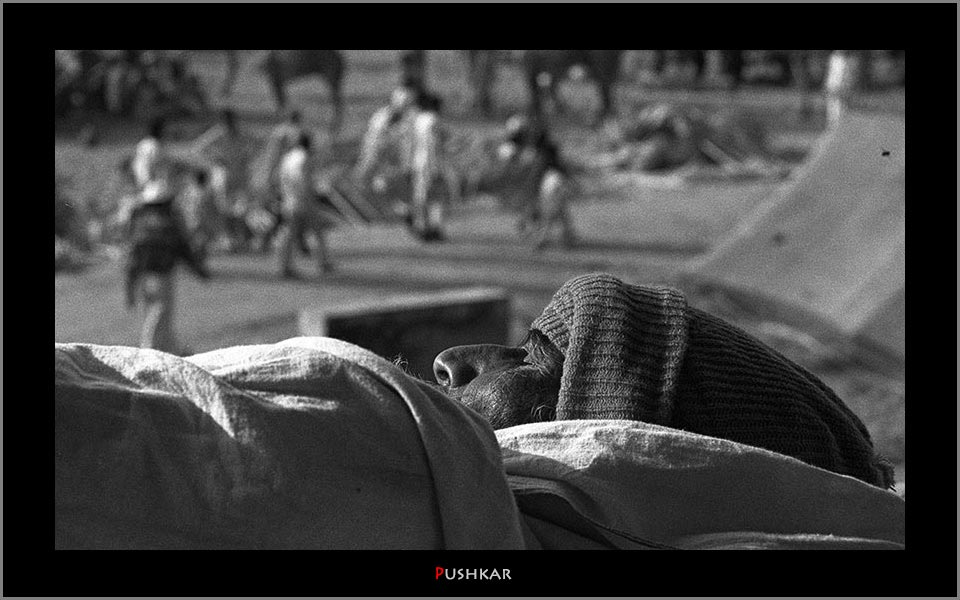 Sleeping man in Pushkar India