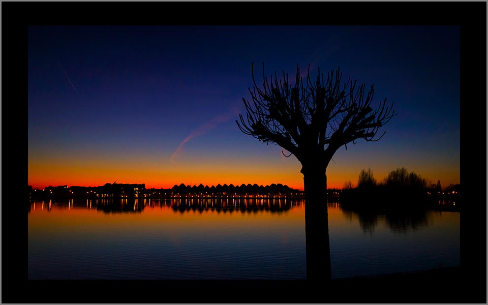Houten tree an sunset