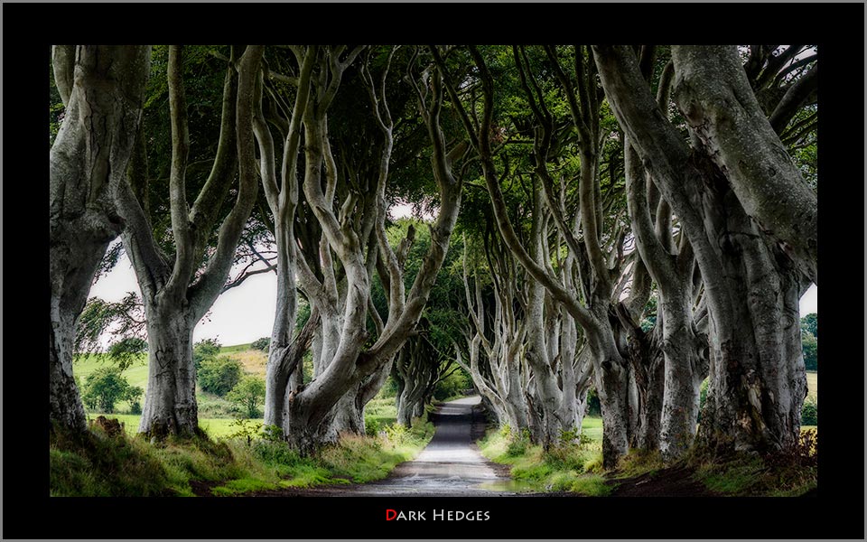 Dark hedges game of thrones