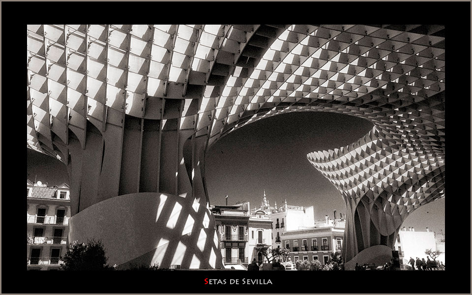 Setas de Sevilla