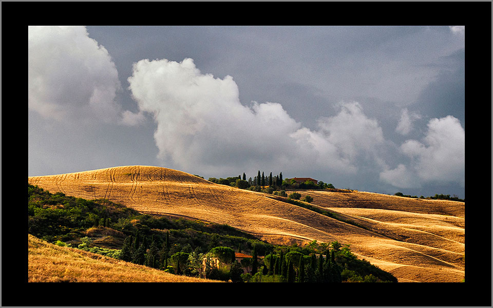 Fields-Tuscany