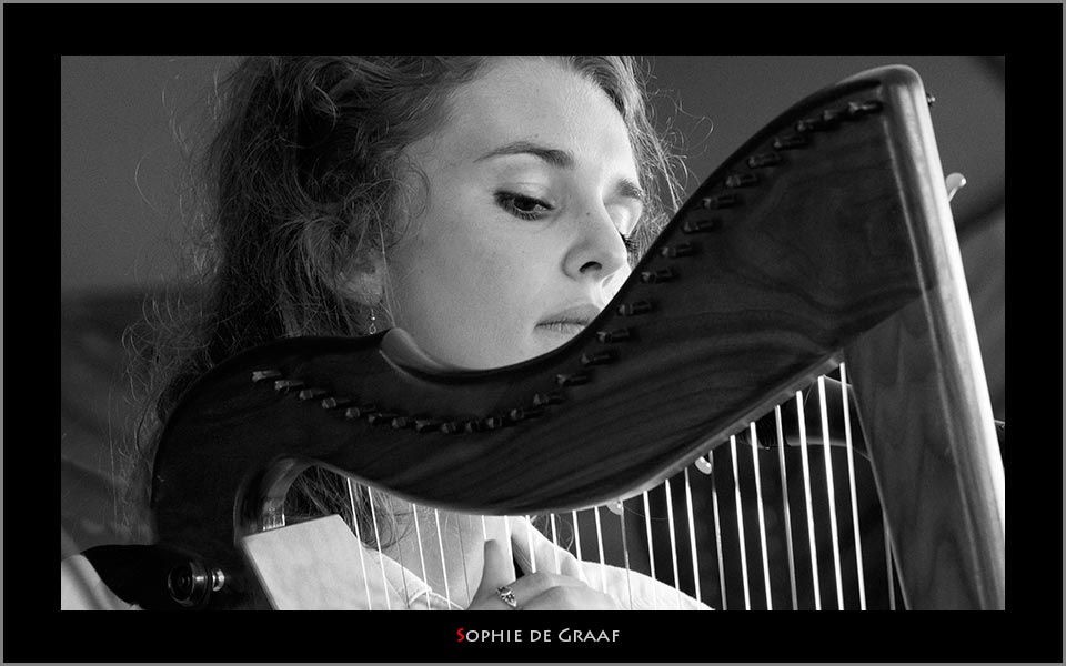 Sophie de graaf harp